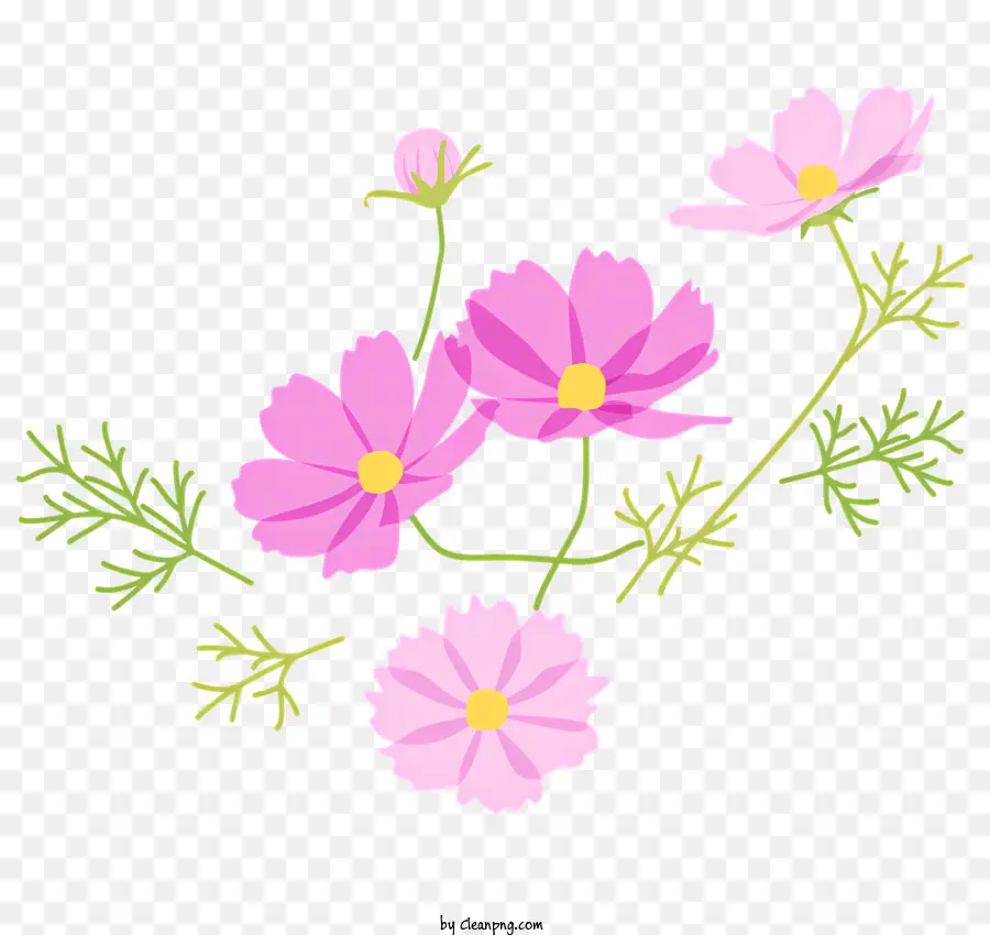 florales Design - Rosa Blumenstrauß auf schwarzem Hintergrund