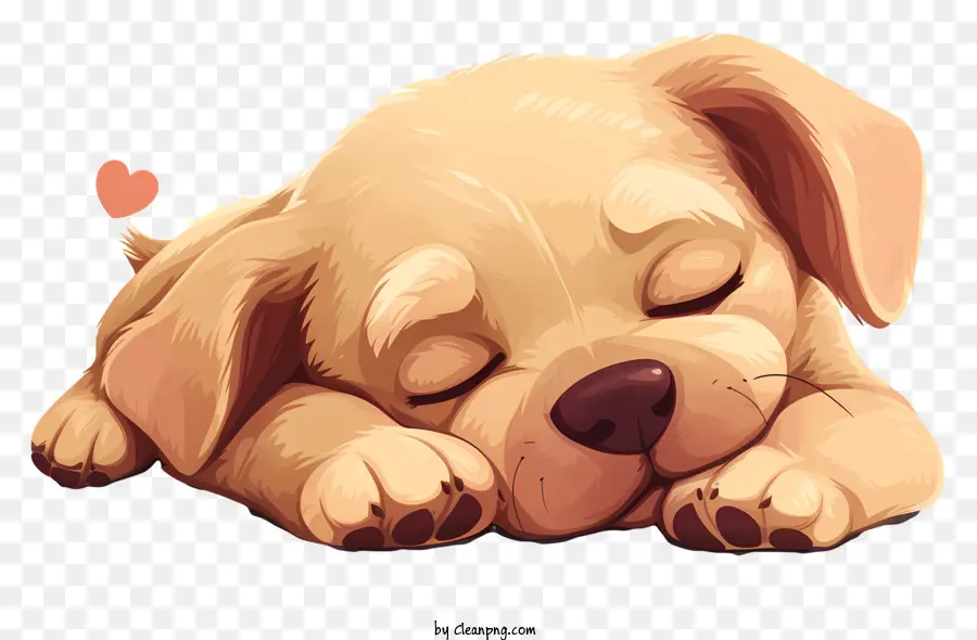 a forma di cuore - Cucciolo addormentato con orecchio attorcigliato