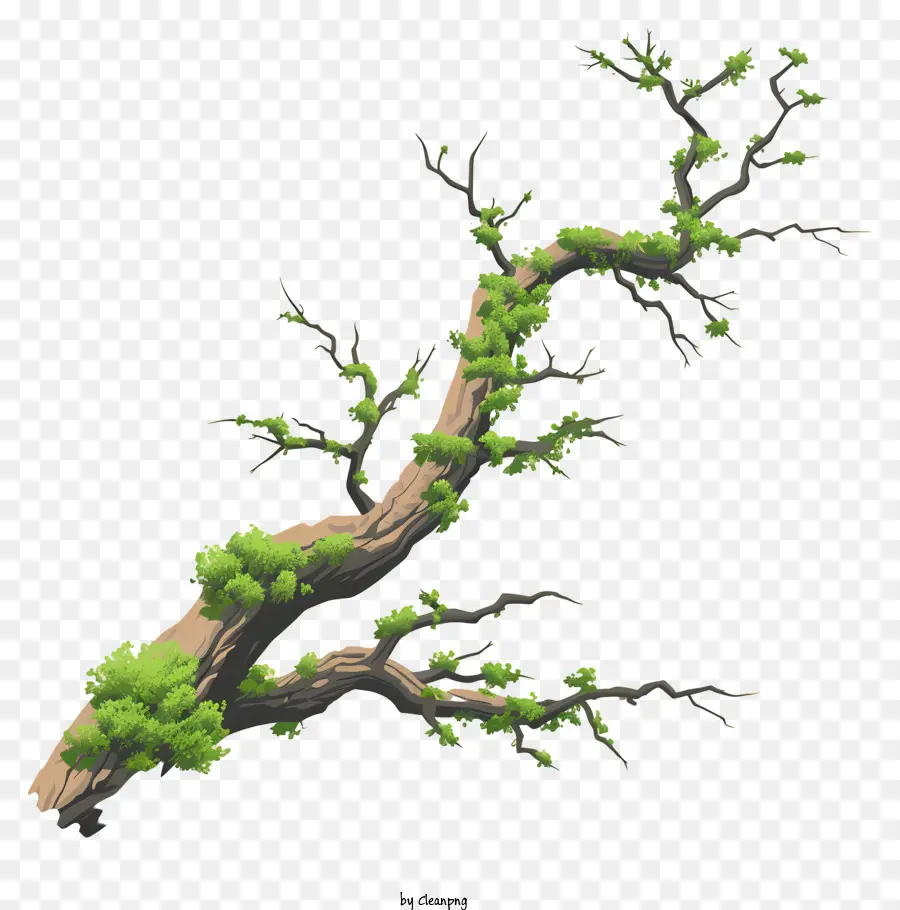 chi nhánh cây - Cành cây nghiêng với lá màu xanh lá cây