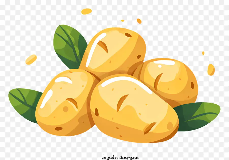 Kartoffeln frisch geerntete Kartoffeln goldene Kartoffeln Kartoffeln mit Blättern Guter Zustandskartoffeln - Drei frische goldene Kartoffeln mit Blättern befestigt