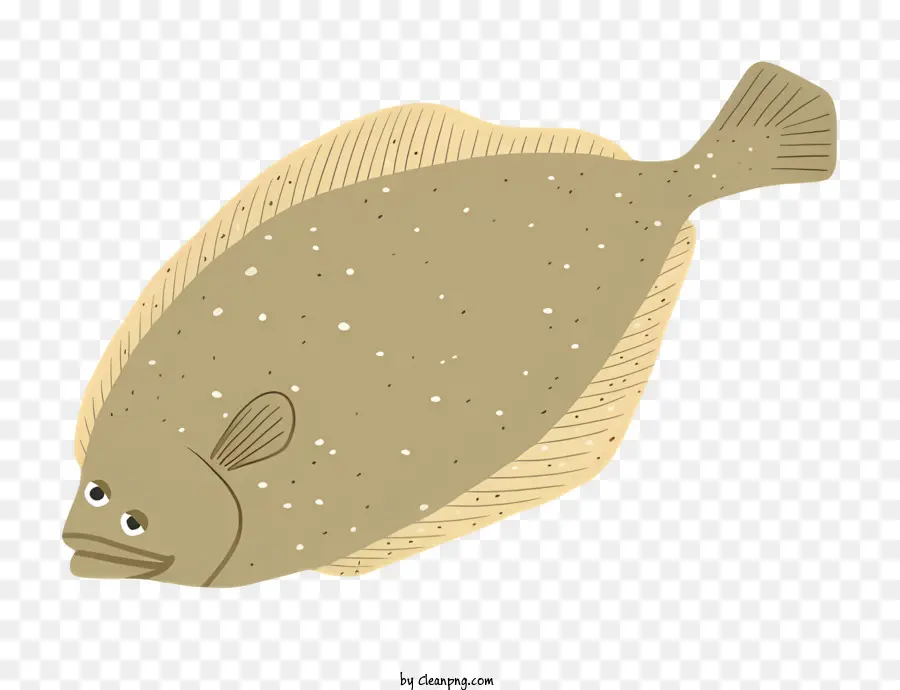 pesce pesce pesce rotondo pesce marrone pesce bianco - Pesce marrone con corpo rotondo, rivolto in avanti