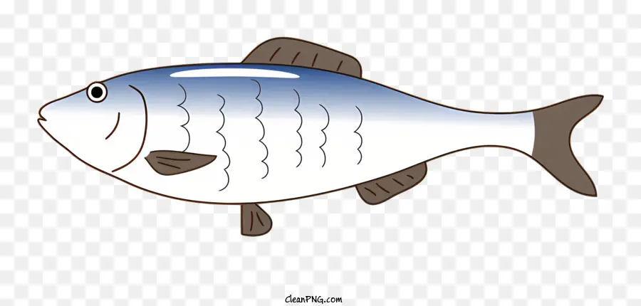 Fisch Fisch zeichnen schwarze Hintergrund grau Fisch blauer Fisch - Realistische Zeichnung eines grauen und blauen Fisches