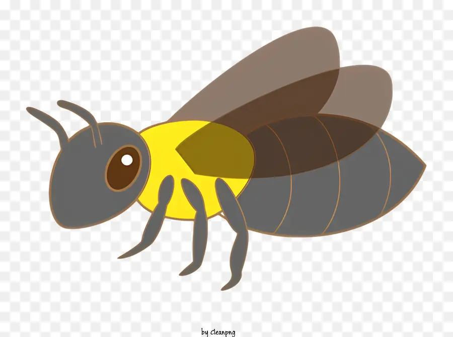 Flügel - Bild einer braunen Biene mit gelber Fleck