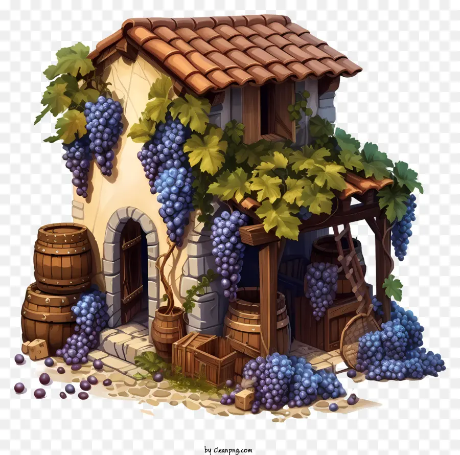 uva per l'edificio in pietra abbandonato campagna rurale di legno viti di uva - Edificio in pietra deserta con viti e ragnatele invasate