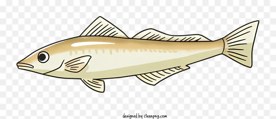 fish small fish pointed head round body small dorsal fin