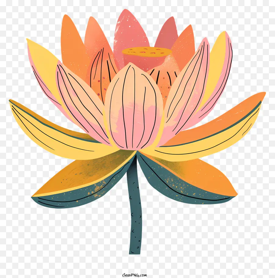 fiore di loto - Fiore di loto vibrante con petali chiusi che fioriscono