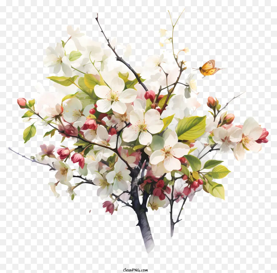 la primavera inizia fiore bianco albero pittura fiore fiori rosa - Albero di fiore bianco con fiori rosa e rossi