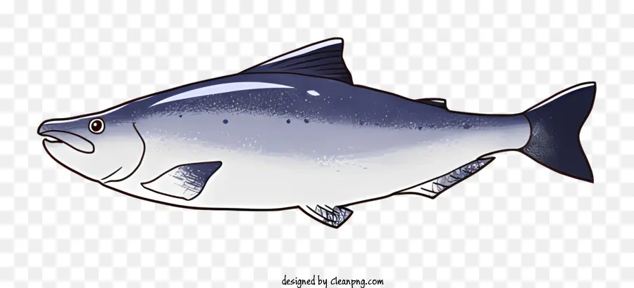 fish large fish grey body blue fins swimming