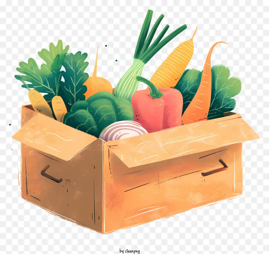 Karton - Seitenansicht einer Schachtel mit Gemüse gefüllt
