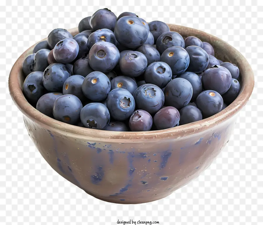 Blueberry Blueberries fresco ciotola in ceramica cibo fresco - Ciotola piena di mirtilli freschi, diverse fasi