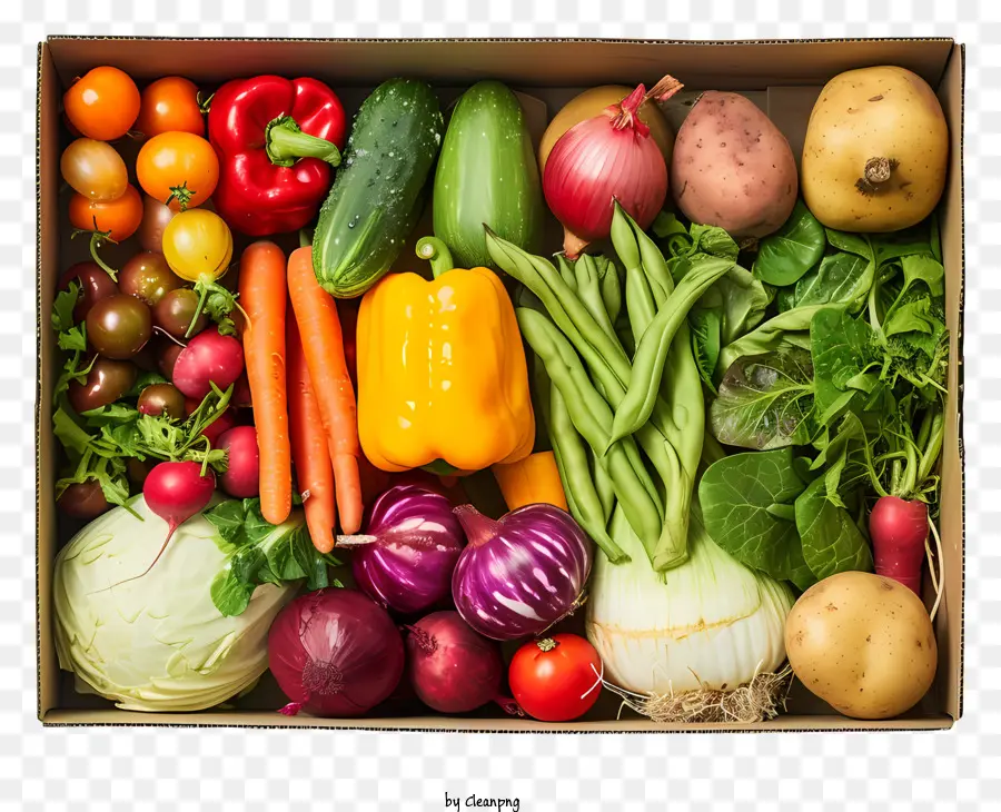 Karton - Buntes Obst und Gemüse in braunem Karton