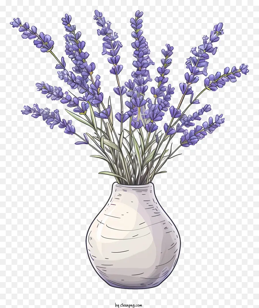 Lavendel - Einfache und elegante Lavendelblumen in weißer Vase