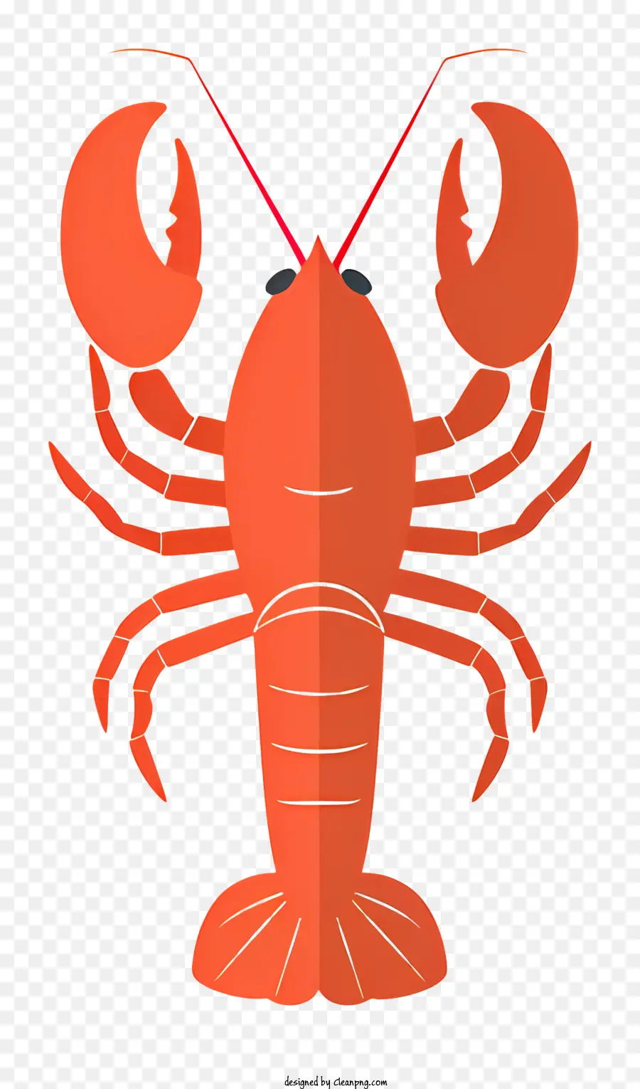 crawfish lobster orange lobster lobster with black claws freshwater lobster