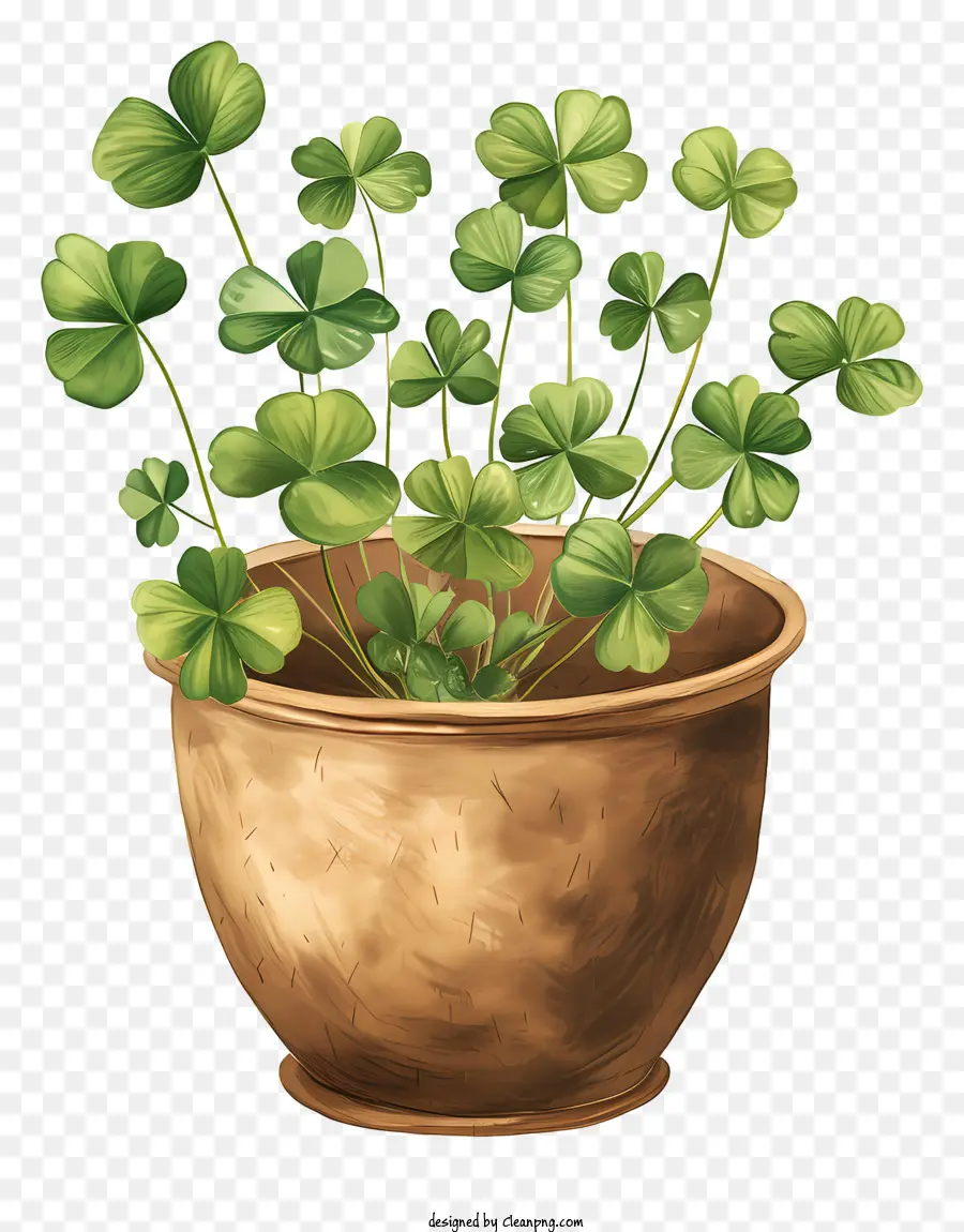 St. Patrick ' s Day - Bild: Ton -Topf mit glücklichen Shamrock -Pflanzen