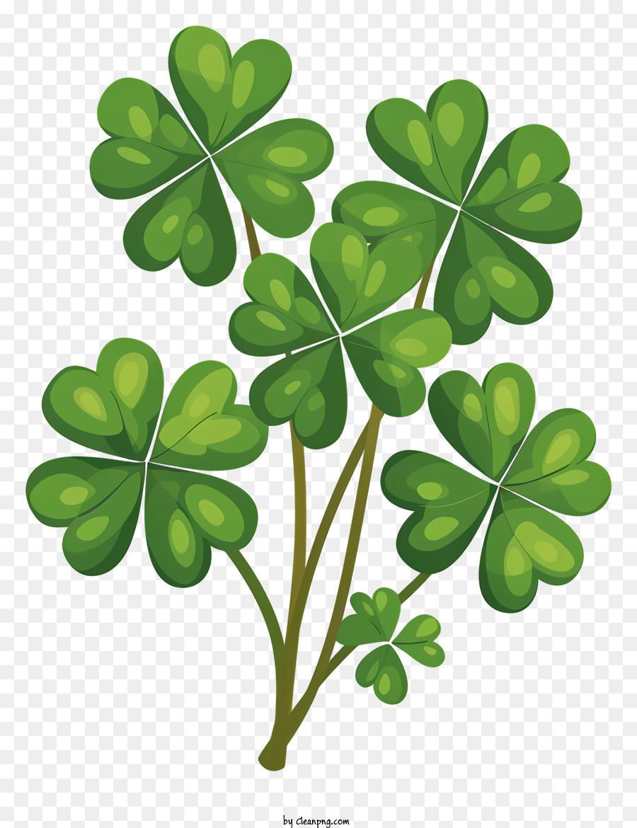 Lucky clover plant with pointed leaves, black background png