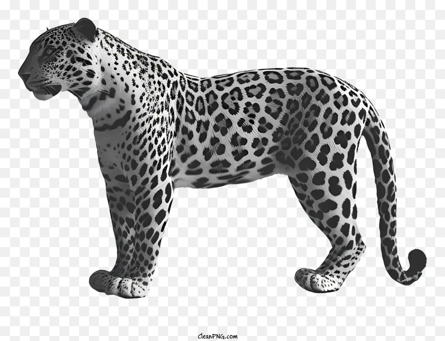 leopard standing on two legs long fur spotted fur sharp claws