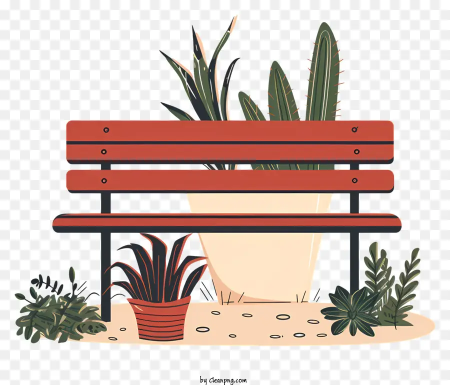 garden bench wooden bench potted plants cacti small plants