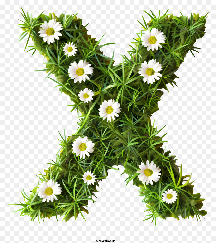 Blumenbuchstaben x Blumenbuchstaben x weiße Gänseblümisen Gras und Blumen Blumenalphabet - Weißer Gänseblümchen X aus Gras gebildet