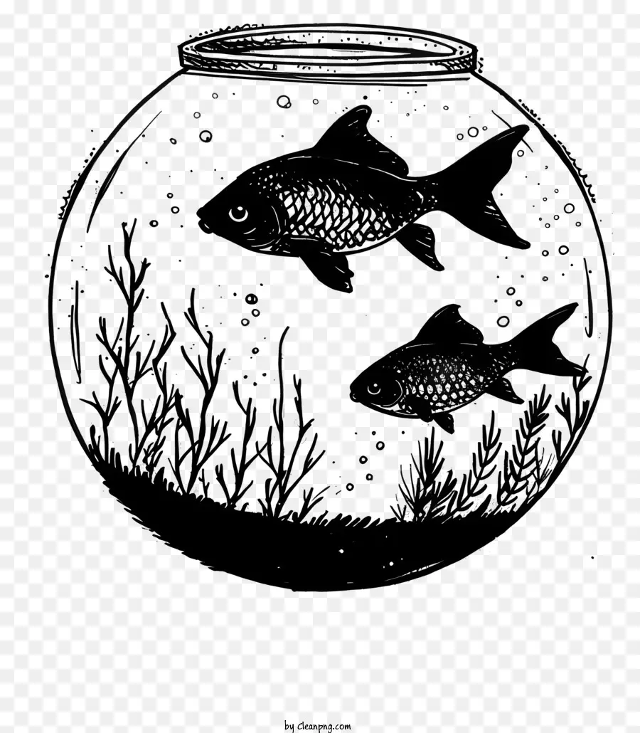 Fischschüssel Aquarium Fisch schwarz und weiße Bewegung - Schwarz -Weiß -Aquarium mit Schwimmfisch