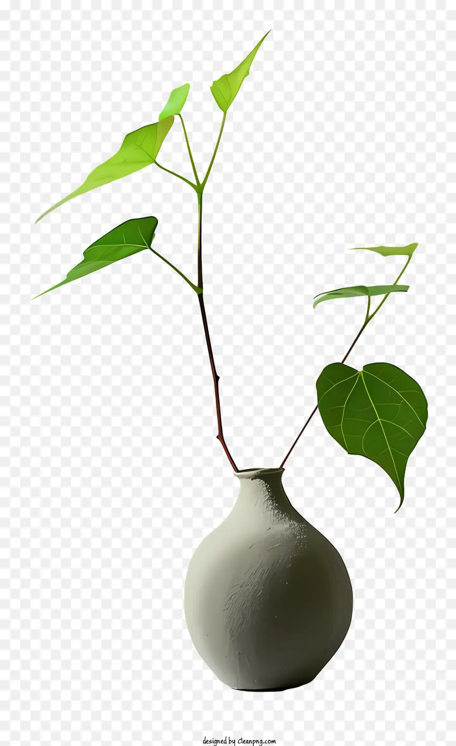 grünes Blatt - Weiße Vase auf schwarzem Hintergrund mit grünem Blatt