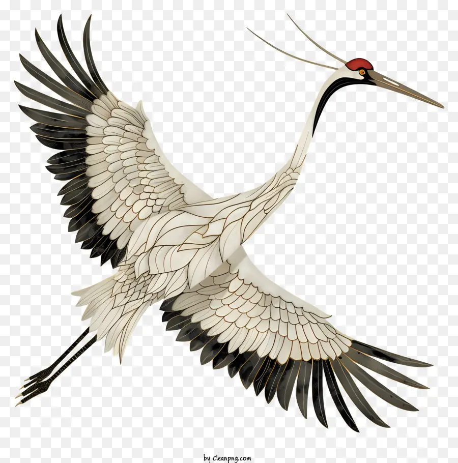 Kran großer Vogel weißer Federn langer Hals Rot Schnabel - Großer weißer Vogel mit rotem Schnabel fliegen
