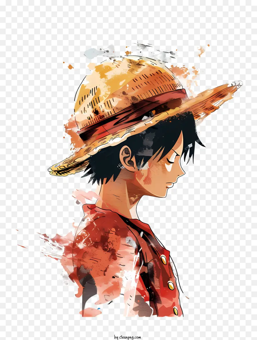 one piece luffy anime character manga series straw hat water spatters
