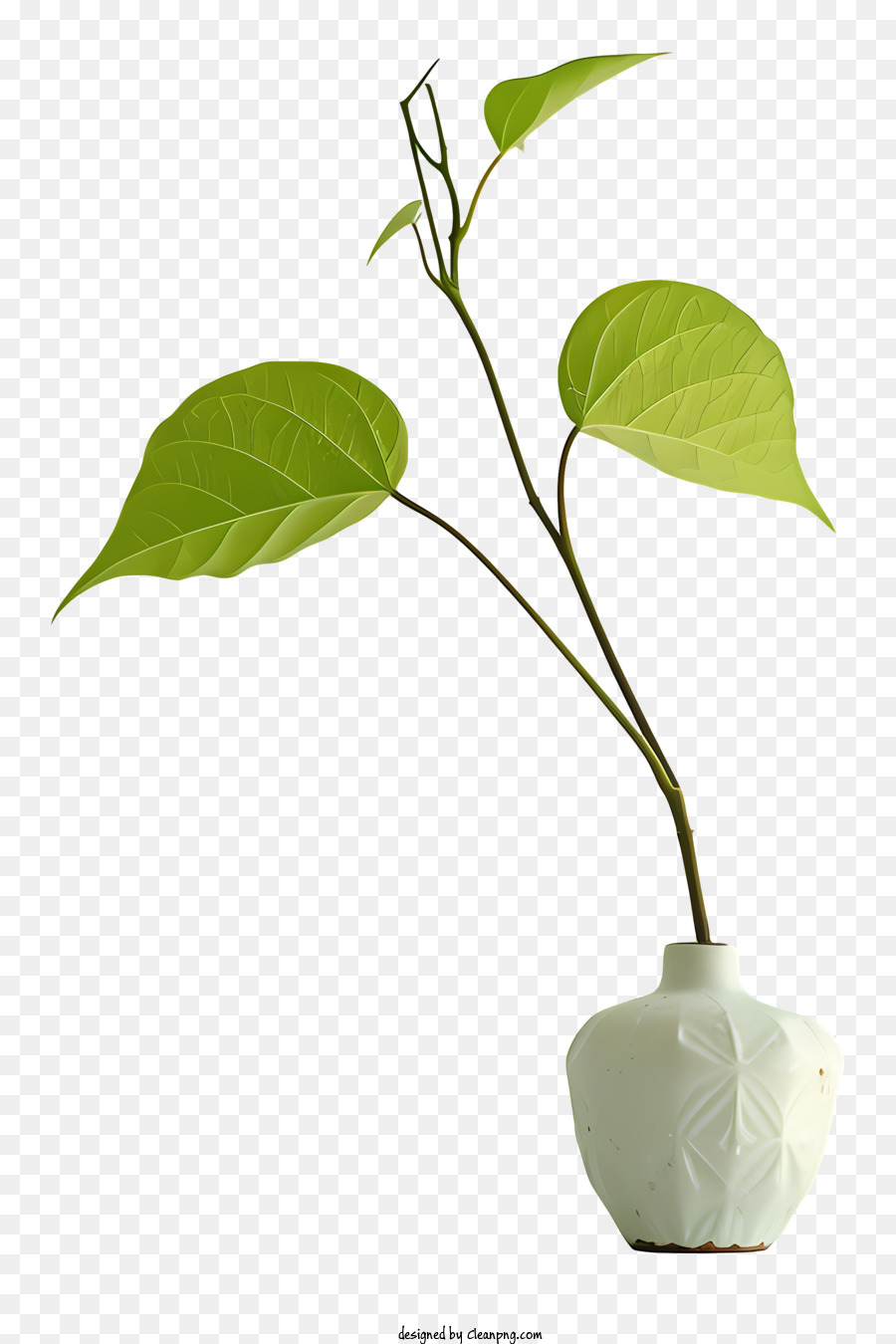 VASE PIANTE VASE PIANTA VERDE PIANTE PIENTA PIANTA DI PIANTA DI PIANTA - Rappresentazione artistica di piccole piante che crescono dal vaso