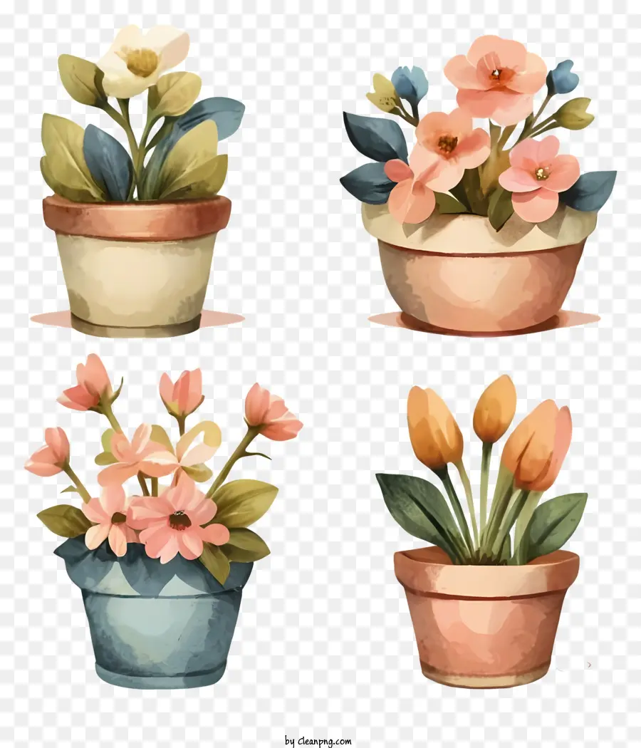pot di fiore - Vibranti vasi di fiori ad acquerello con fioriture colorate
