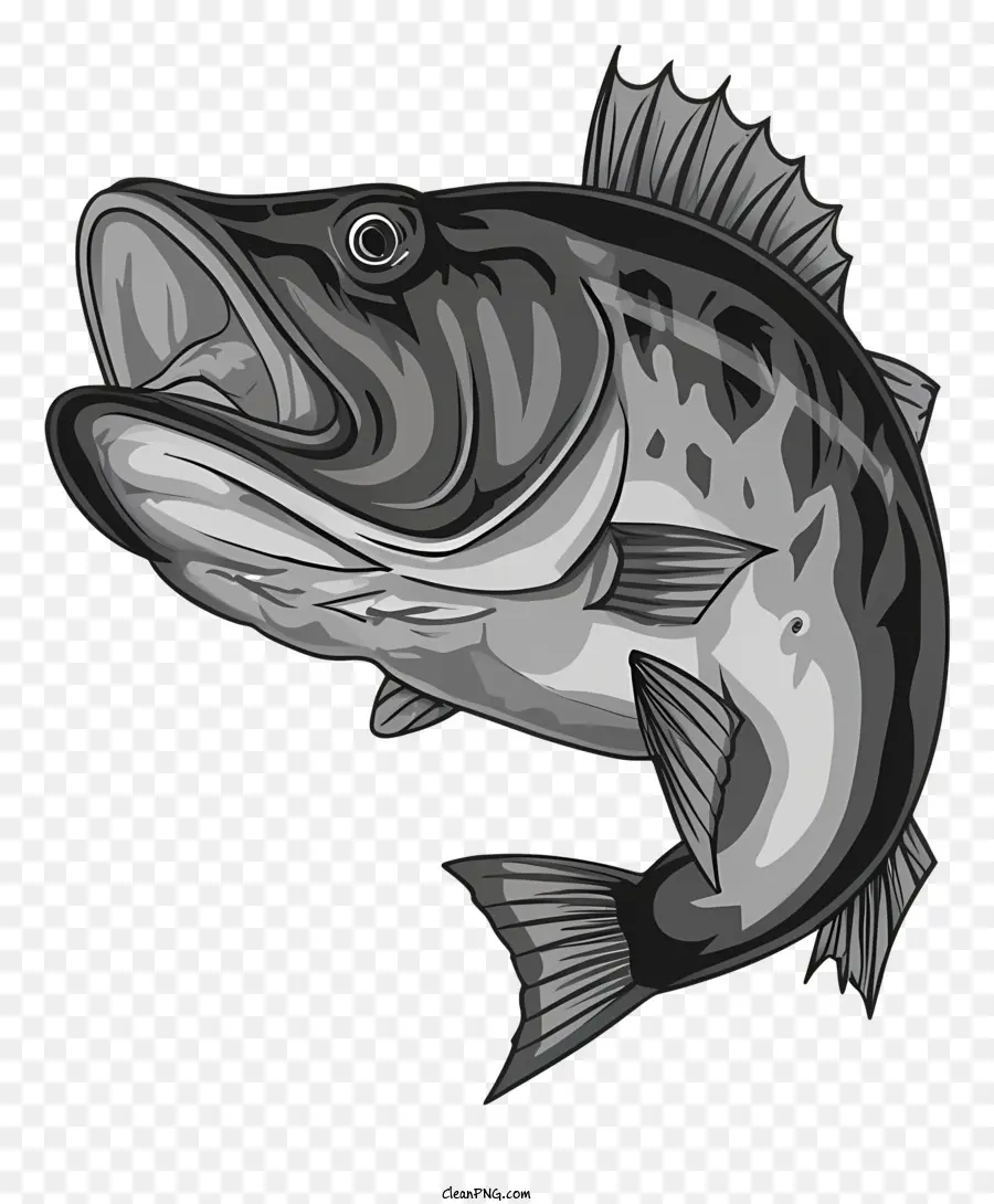 Forellen -Bass -Fischerei Frischwassersportfischereifischen angeln - Forellenbarsch aus dem Wasser springen