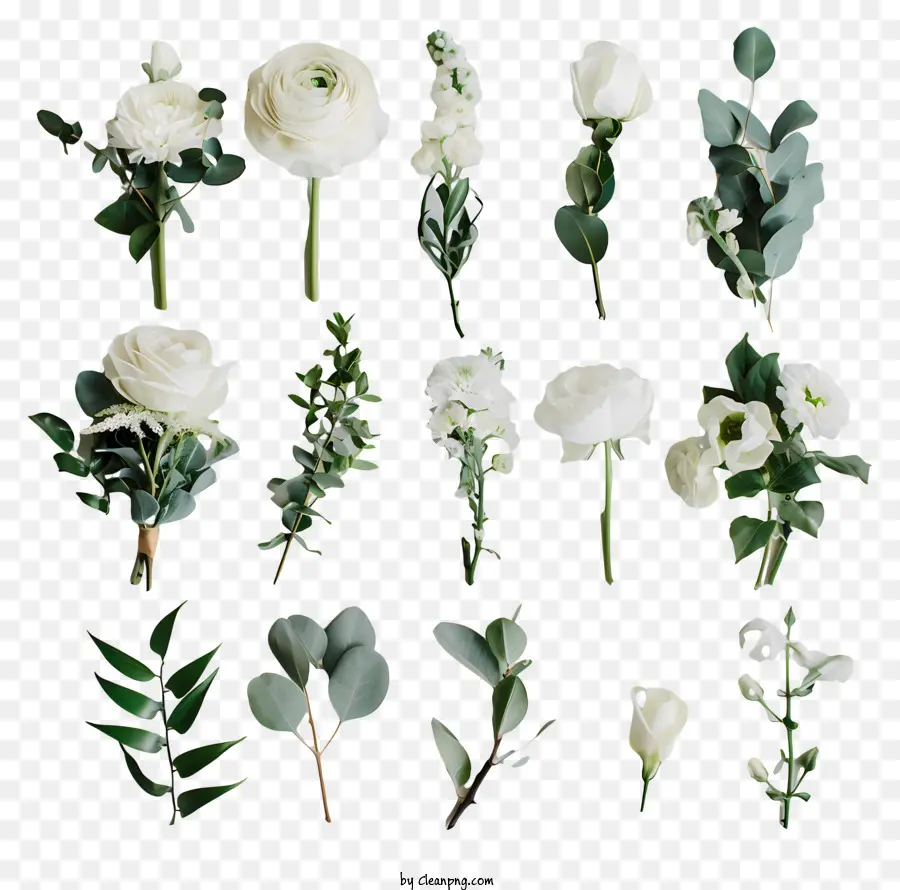 hoa sắp xếp - Nhiều bông hoa màu trắng trong cách sắp xếp bó hoa thanh lịch