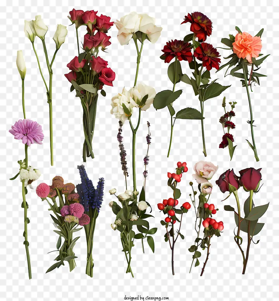 fresh flowers flower types flower colors flower shapes bloom stages