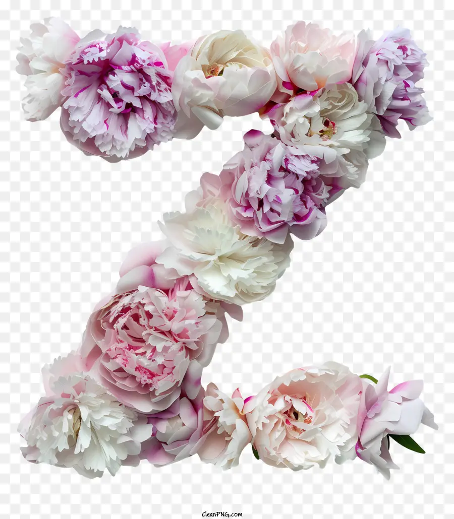 hoa thiết kế - Chữ cái 'z' làm bằng hoa màu hồng trên màu đen