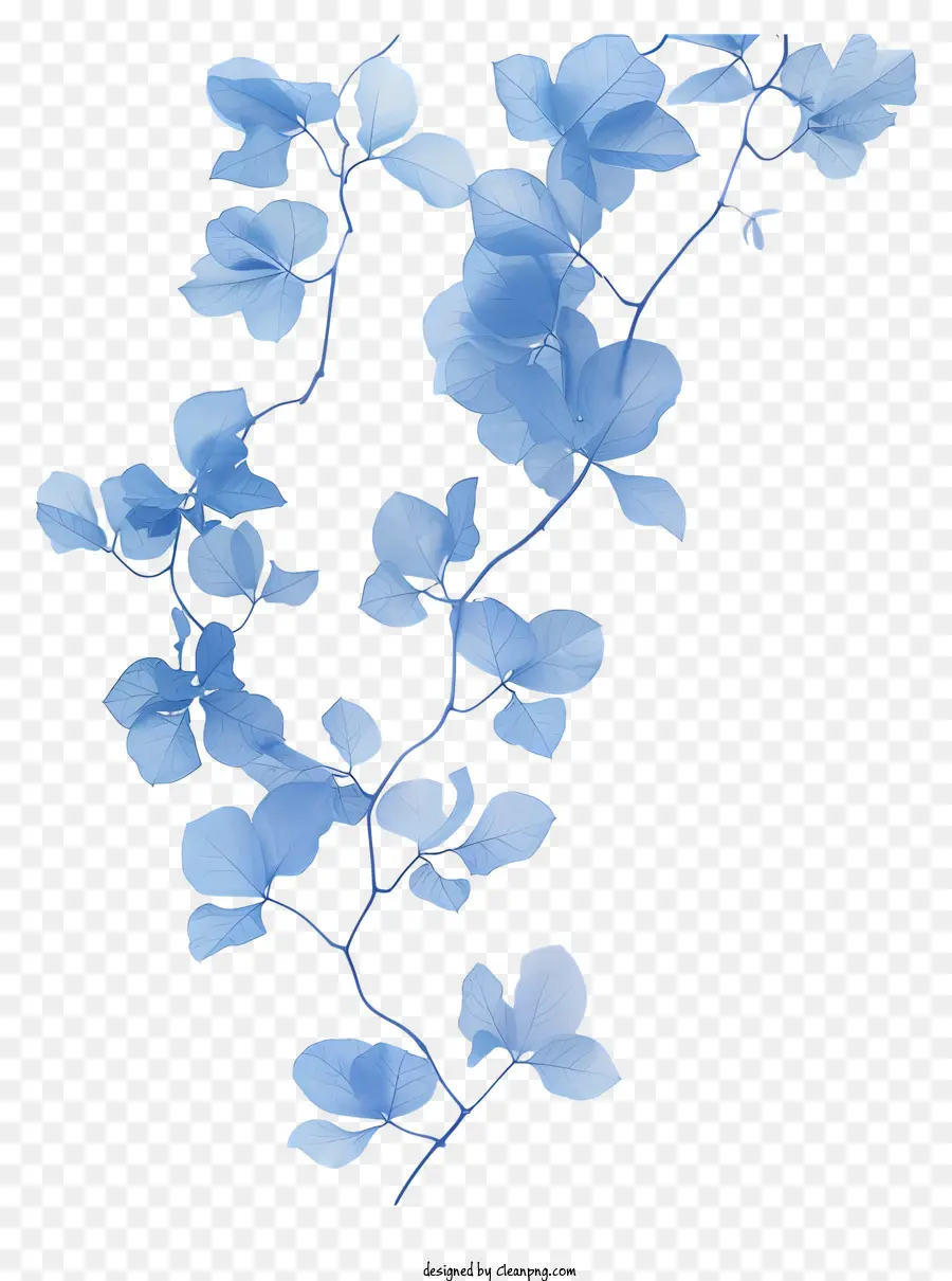 blue flower vine flower petals blue pink