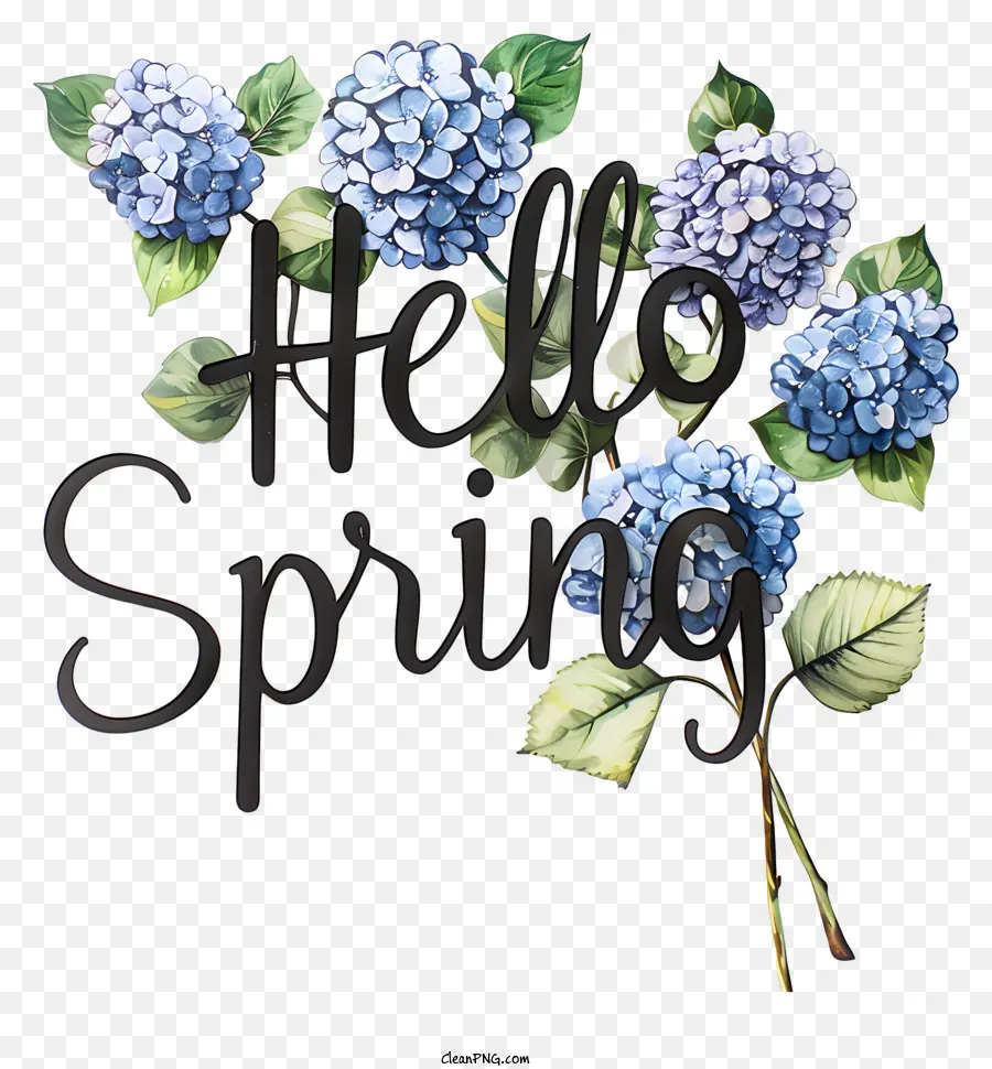xin chào mùa xuân - Tác phẩm nghệ thuật có hoa cẩm tú cầu màu xanh