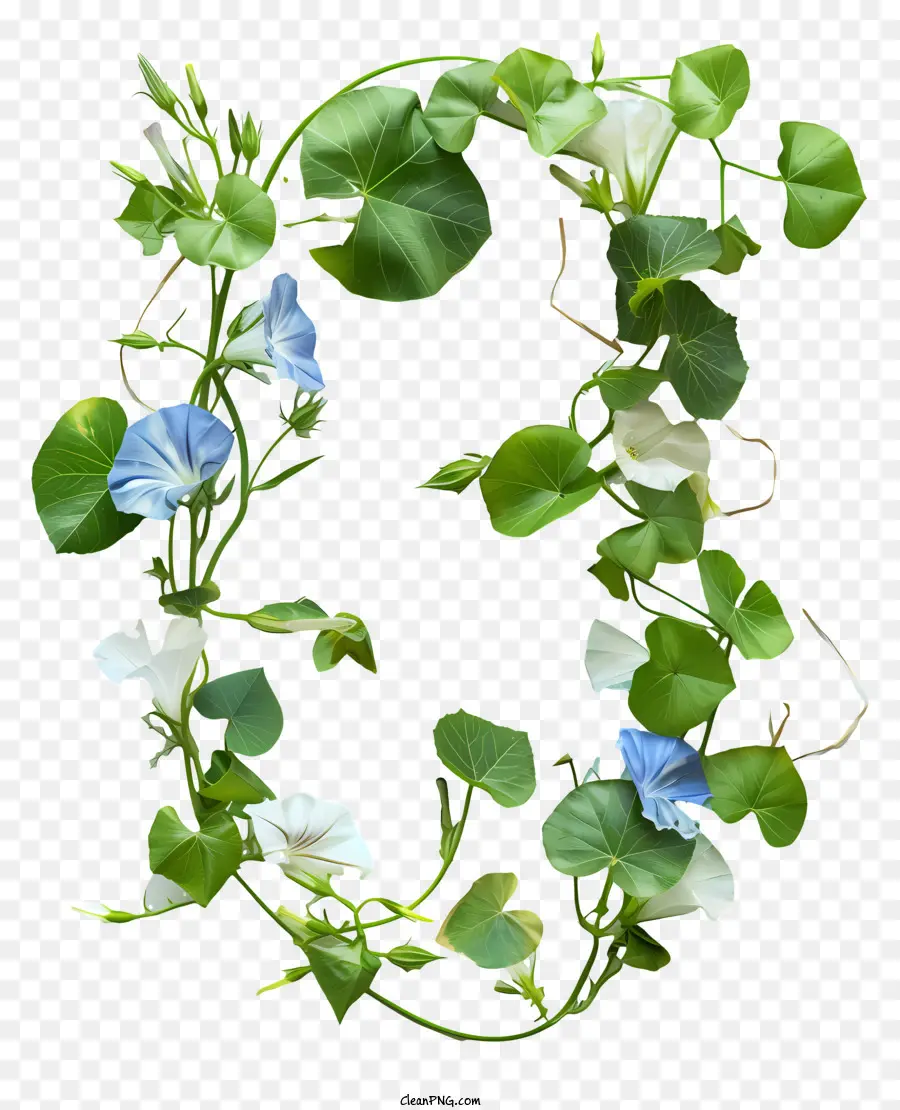 florales Design - Weiße und blaue Gurns in 