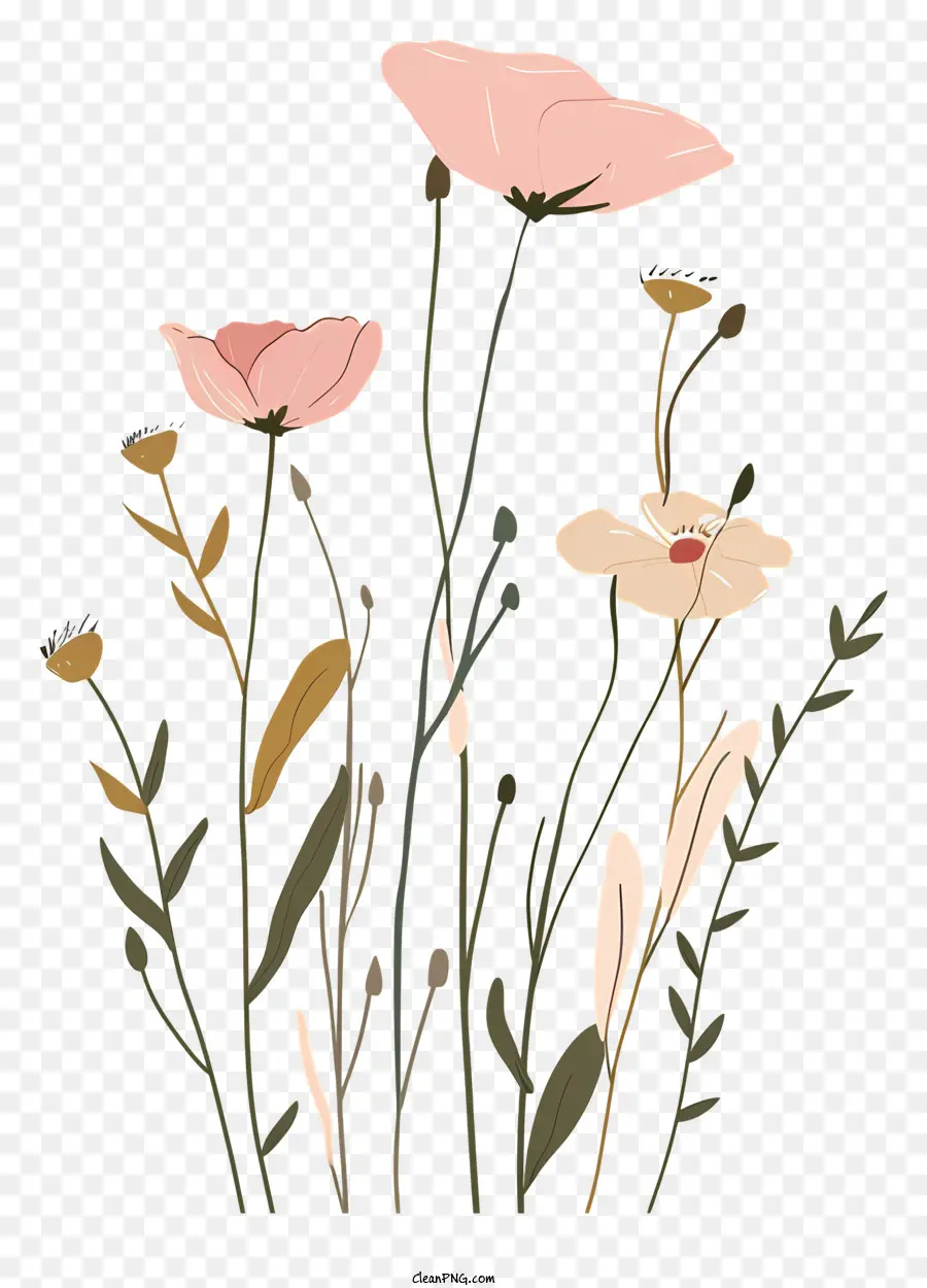 ciao a molla - Vivido illustrazione sul campo di fiori selvatici su sfondo scuro