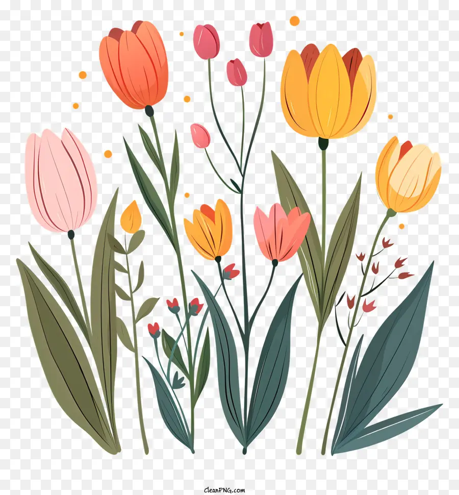 Hoa mùa xuân biển báo hoa bó hoa hoa tulip hoa cúc - Hoa bó hoa trên nền tối với các vì sao