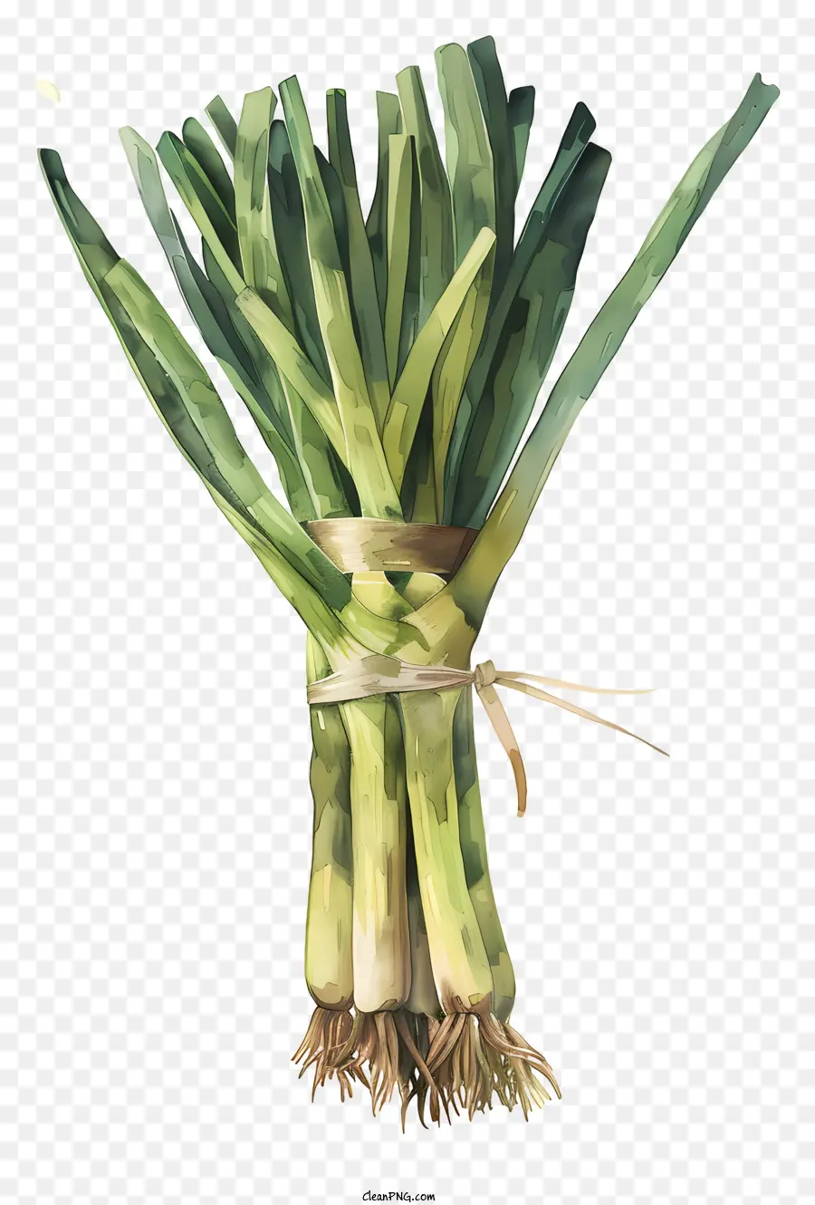 st. david's day leek green onions cooking culinary