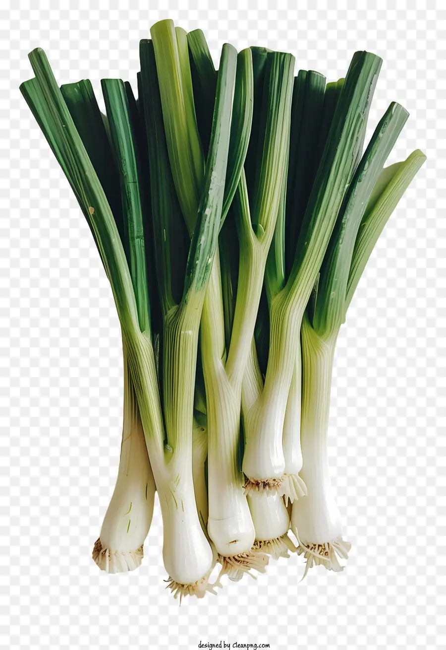 st. david's day leek green onions fresh vegetables circular arrangement