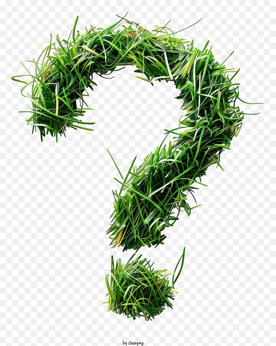 Fragezeichen - Grüne grasbewachsene Perücke mit Fragezeichenform