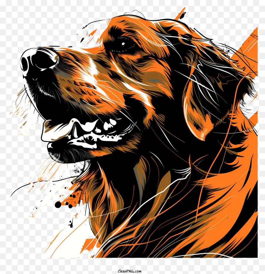 Golden Retriever Orange Hund langes Haar braune Augen Kragen - Langhaariger orangefarbener Hund mit Kragen, lächelnd