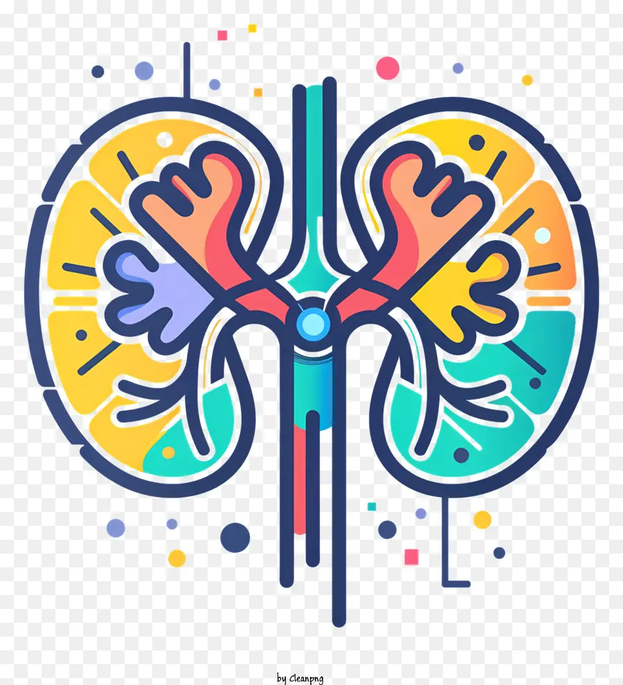 Weltnieren -Tag Nierenarterien Adern menschliches Organ - Buntes detailliertes Nierenbild mit lebendigen Venen