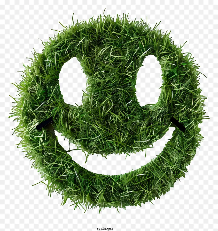 faccina - Heart di erba con design della faccina sorridente