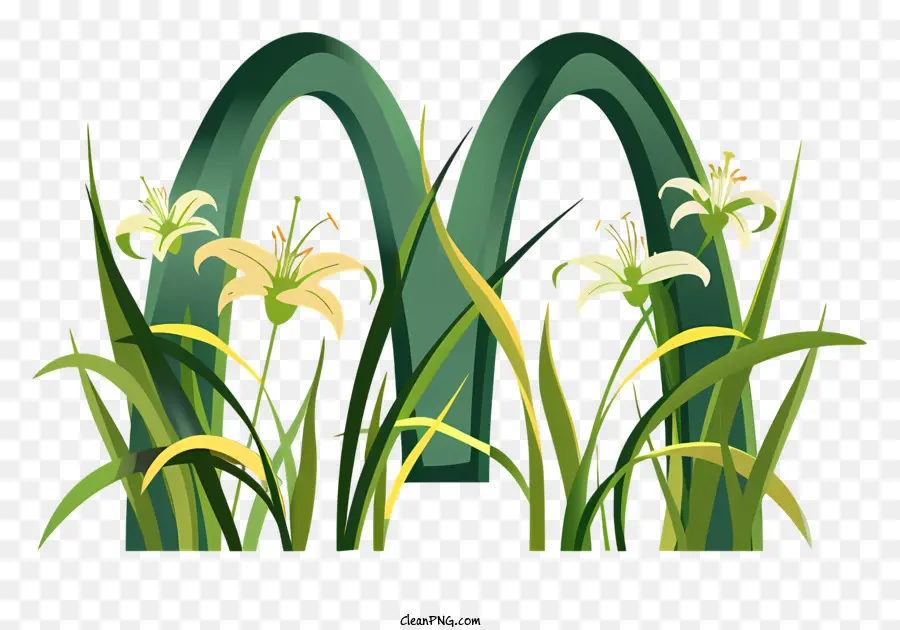 mcdonald logo - Vòng tròn bằng hoa loa kèn trắng trên một cánh đồng