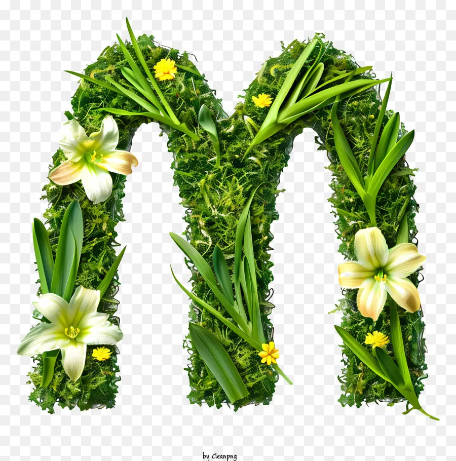 mcdonald logo - Rêu xanh và tím 