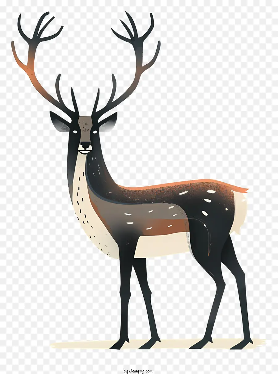 renna - Cervo con corna grandi, pancia bianca, disegno