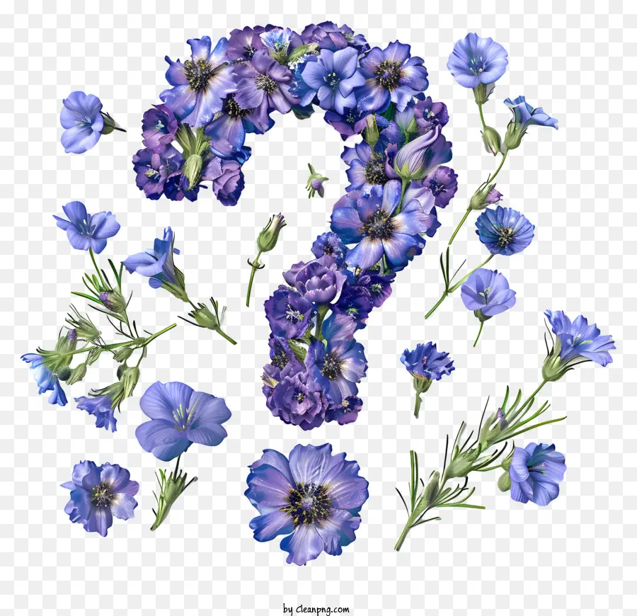 Fragezeichen - Blaue Blüten in Fragezeichen Form auf Schwarz