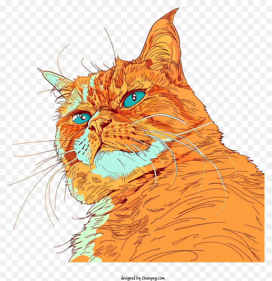 trái cam - Mèo màu cam với đôi mắt xanh, bộ lông thực tế