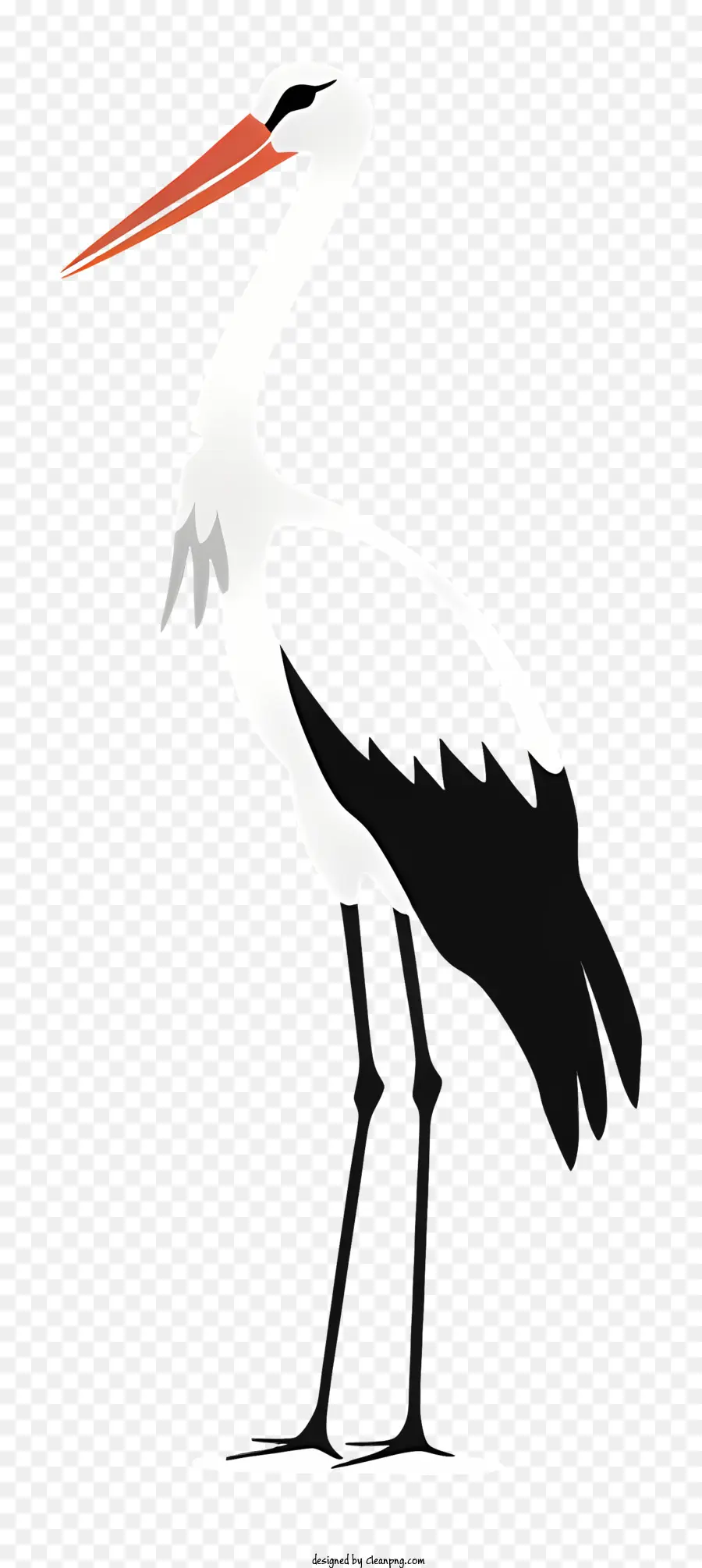 weiße Storch Vogel -Wildtier Natur - Schwarz -Weiß -Storch mit verbreiteten Flügeln