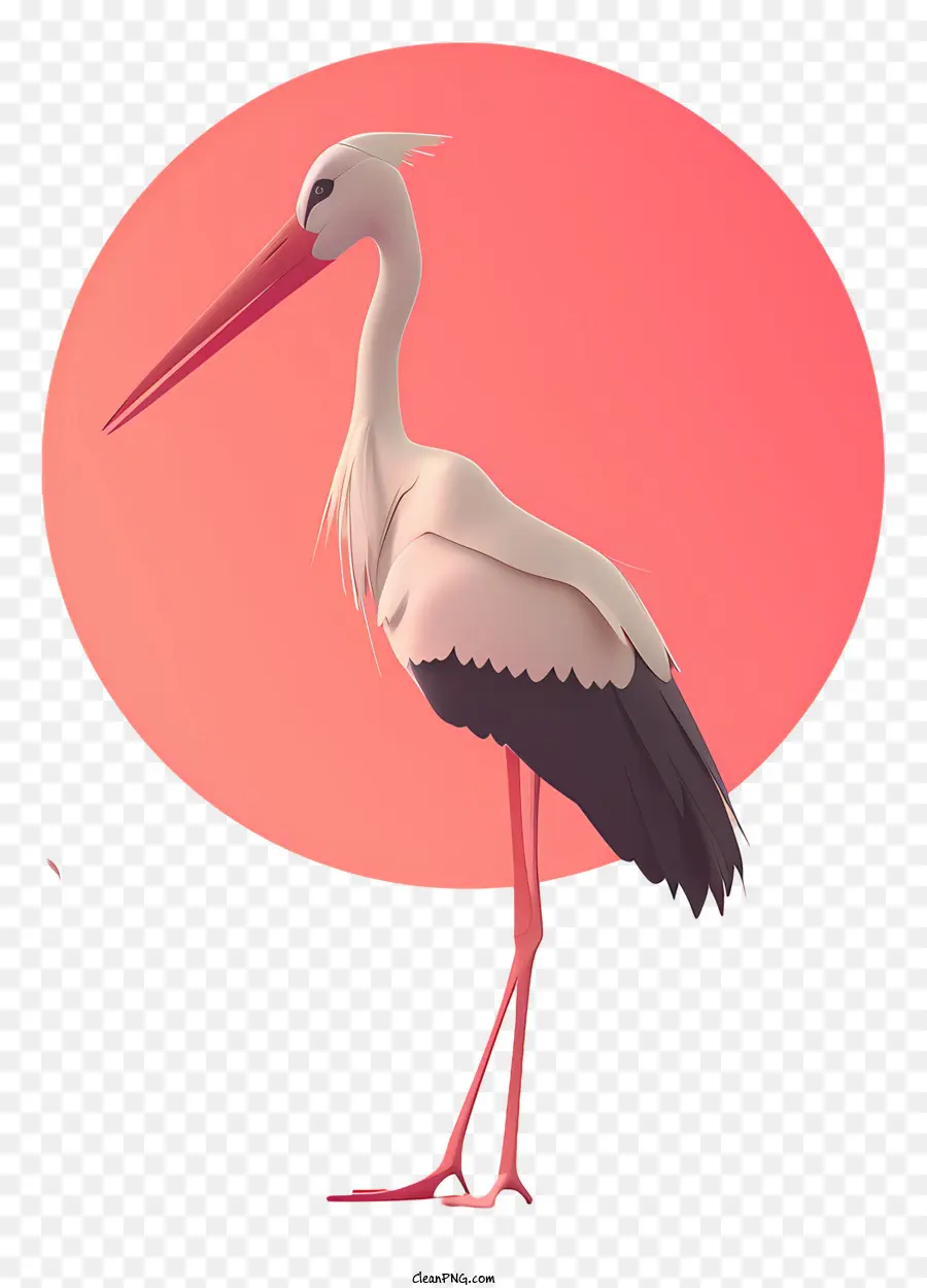 rosa hintergrund - Weißer Storch mit langem Schnabel, rosa Hintergrund